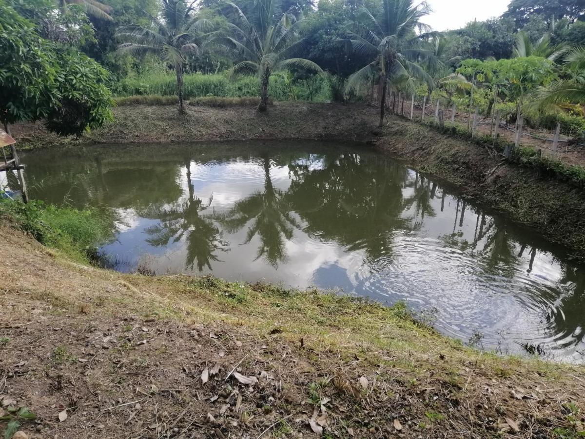 Sameikei Homestay Phrae Eksteriør billede